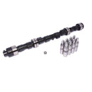 COMP Cams Cam & Lifter Kit F23 252H - ccaCL70-119-6