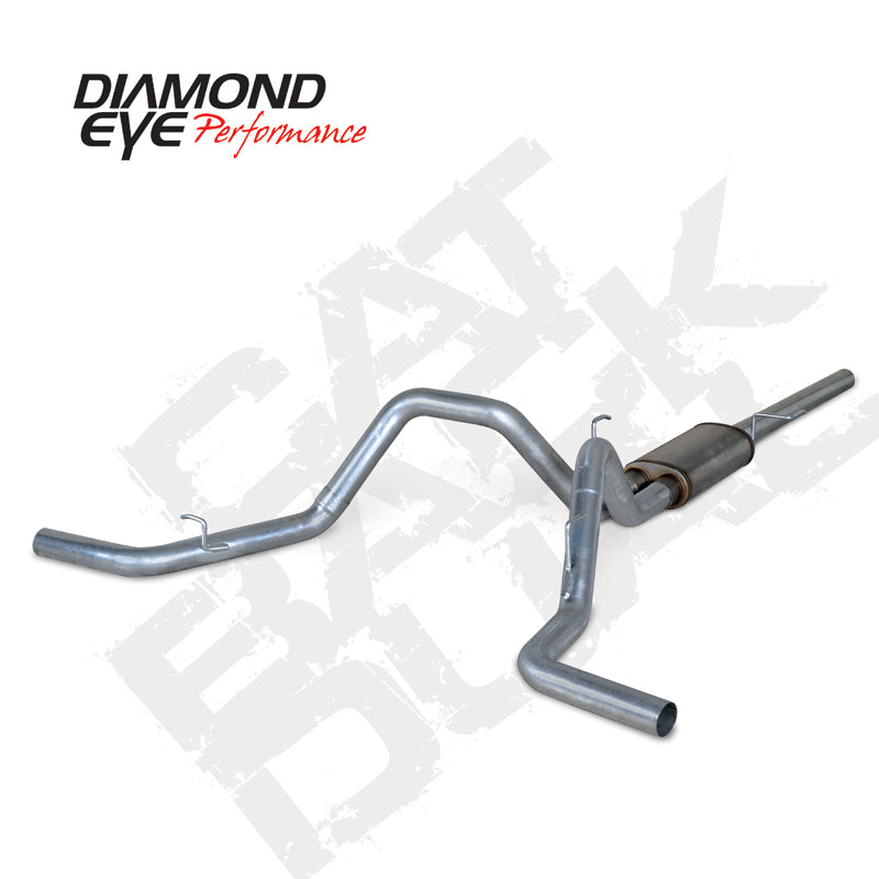 Diamond Eye KIT 3in CB DUAL GAS SS FORD 5.4L F150 04-08 - depK3322S