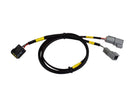 AEM CD-7/CD-7L Plug and Play Adapter Harness for MSD Grid - aem30-2213