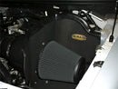 Airaid 04-07 Ford F-150 4.6L / 05-07 F-150 4.2L V6 CAD Intake System w/o Tube (Dry / Black Media) - air402-141-1