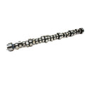 COMP Cams Camshaft Vip XR264HR-14 - cca97-310-10