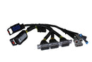 AEM Infinity-6/8h Plug and Play Jumper Harness: Honda S2K 2000-2005 - aem30-3508