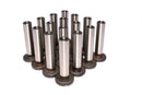 COMP Cams Solid Lifters Ford Y Block 2 - cca2931-16