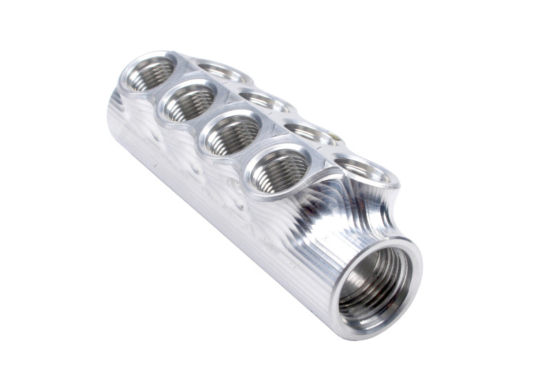 Aeromotive Fuel Distribution Log (10-Ports) (2) -10 AN/(8) -6 AN - aer14602