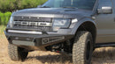 Addictive Desert Designs 10-14 Ford F-150 Raptor HoneyBadger Front Bumper - addF017285050103