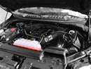 aFe MagnumFORCE Intakes Stage-2 Pro Dry S 2015 Ford F-150 5.0L V8 - afe51-12742