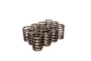 COMP Cams Valve Springs Ford 240-300 - cca903-12