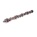 COMP Cams Camshaft FF Inglese 281E HR-1 - cca34-490-8