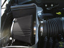 Airaid 05-11 Dodge Dakota/06-09 Mitsu Raider 3.7/4.7L CAD Intake System w/o Tube (Dry / Black Media) - air302-165