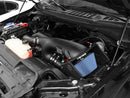 aFe MagnumFORCE Pro 5R Stage-2 Intake System 16 Ford F-150 EcoBoost V6-2.7L/3.5L (tt) - afe54-32642-1B