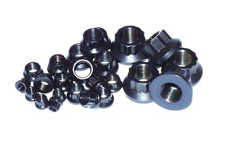 ARP 1/4-28 SS 12pt Nut Kit - arp400-8300