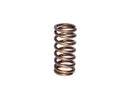 COMP Cams Valve Spring 0.940in Inner Bl - cca974-1