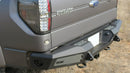 Addictive Desert Designs 10-14 Ford F-150 Raptor HoneyBadger Rear Bumper w/ Tow Hooks - addR017301280103