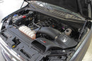 aFe Momentum GT Pro Dry S Stage-2 Intake System 15-17 Ford F-150 V8 5.0L - afe51-73114