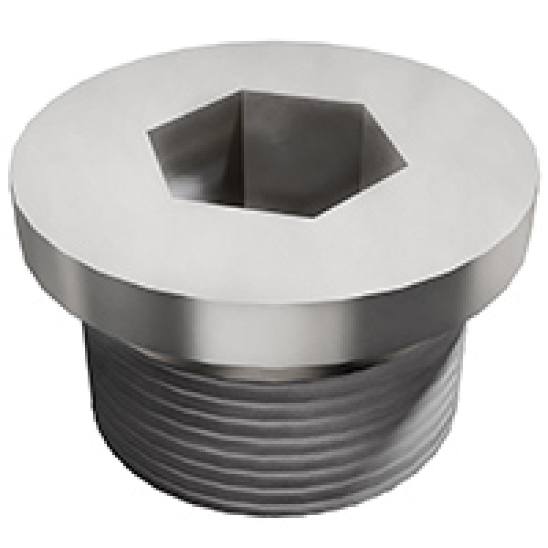 Magnaflow Plug Hex Flange O2 Boss (20-Pk) - mag10044