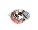 AEM AQ-1 96in Flying Lead Wiring Harness - aem30-2906-96