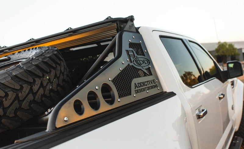 Addictive Desert Designs 17-18 Ford F-150 Raptor Race Series Chase Rack w/ Tire Carrier - addC015821100103