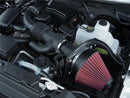 Airaid 08-10 Ford F-250/350 5.4L V8/6.8L V10 CAD Intake System w/o Tube (Oiled / Red Media) - air400-226