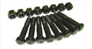 ARP Toyotal 1.8L (1ZZFE) 4cyl Rod Bolt Kit - arp203-6301